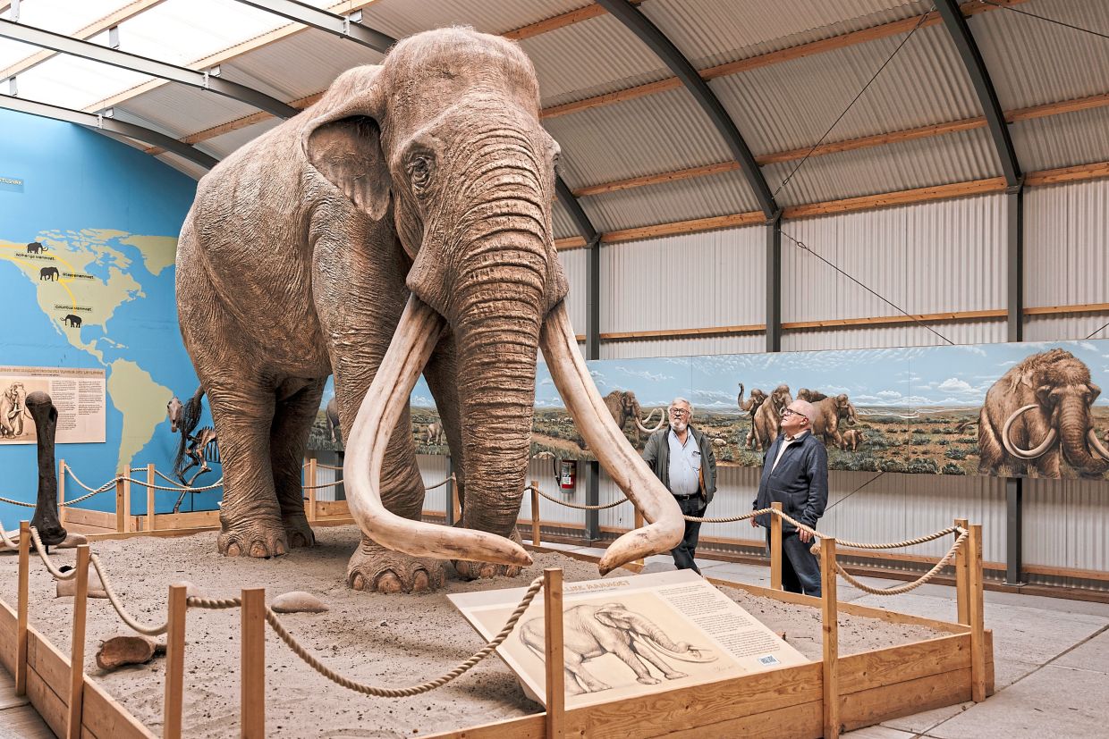 Citizens turn deep time hunters