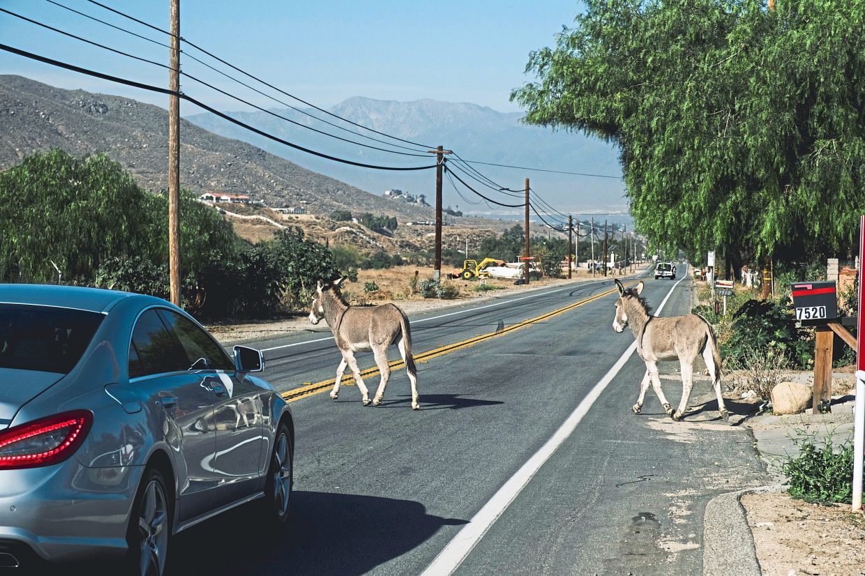 Sorry! Image not available at this time