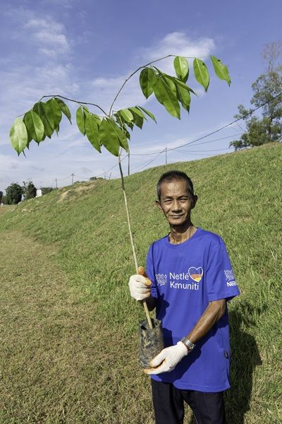 Dedicated seedling cultivator Hasidin says the collaboration with Nestle has been rewarding.
