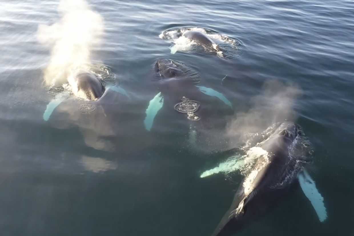 Sorry! Image not available at this time