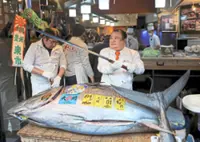 Bluefin tuna fetches record ¥510mil at auction