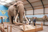 Citizens turn deep time hunters