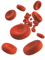 Anaemia can be caused by infection 