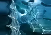 QuickCheck: Does the body replace itself every seven years?