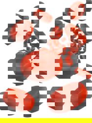 Anaemia can be caused by infection 