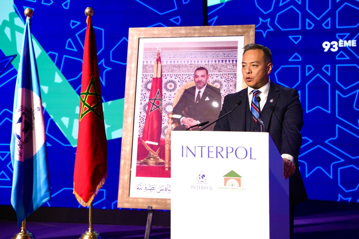 Police to deepen Asean ties as Hong Kong set to host first top Interpol meeting