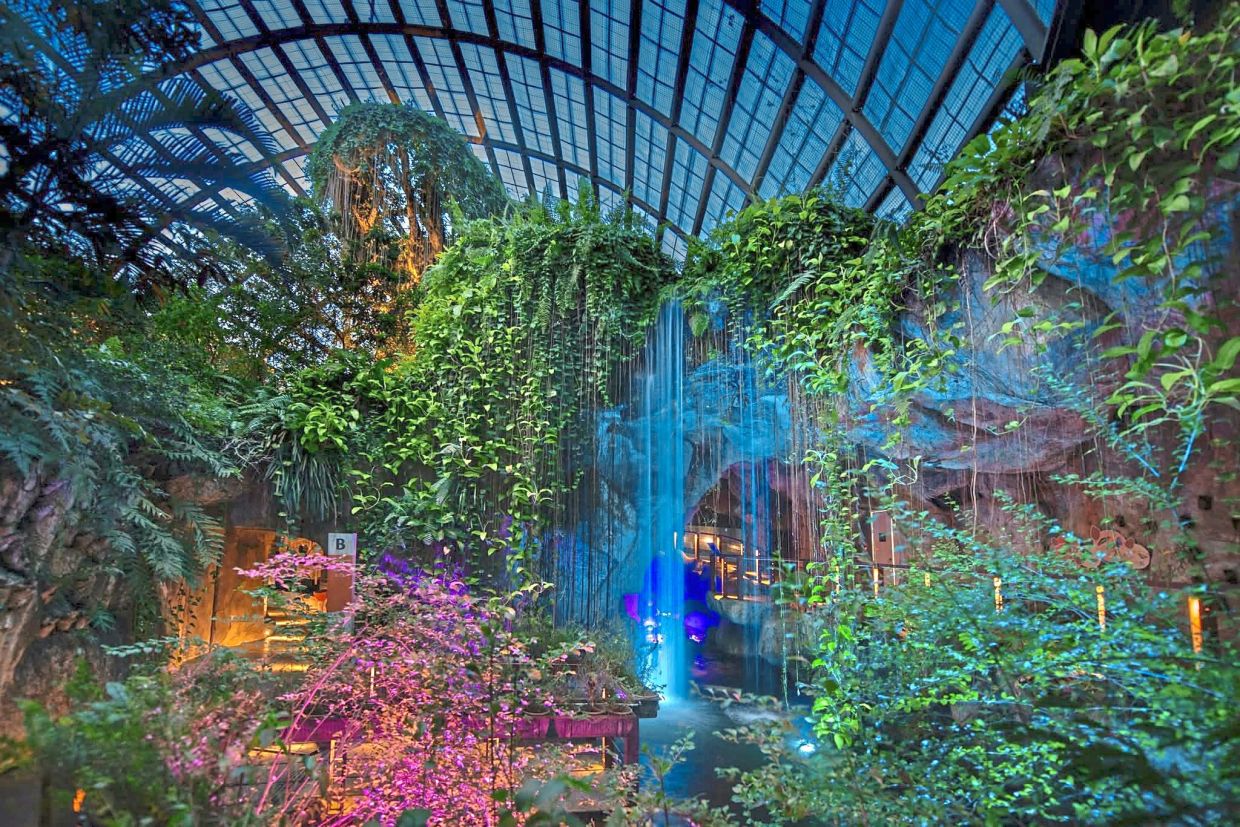 Entopia by Penang Butterfly Farm is a place that offers an immersive attraction, such as its Biofluorescent Garden that is touted as the world’s first. — Courtesy photo