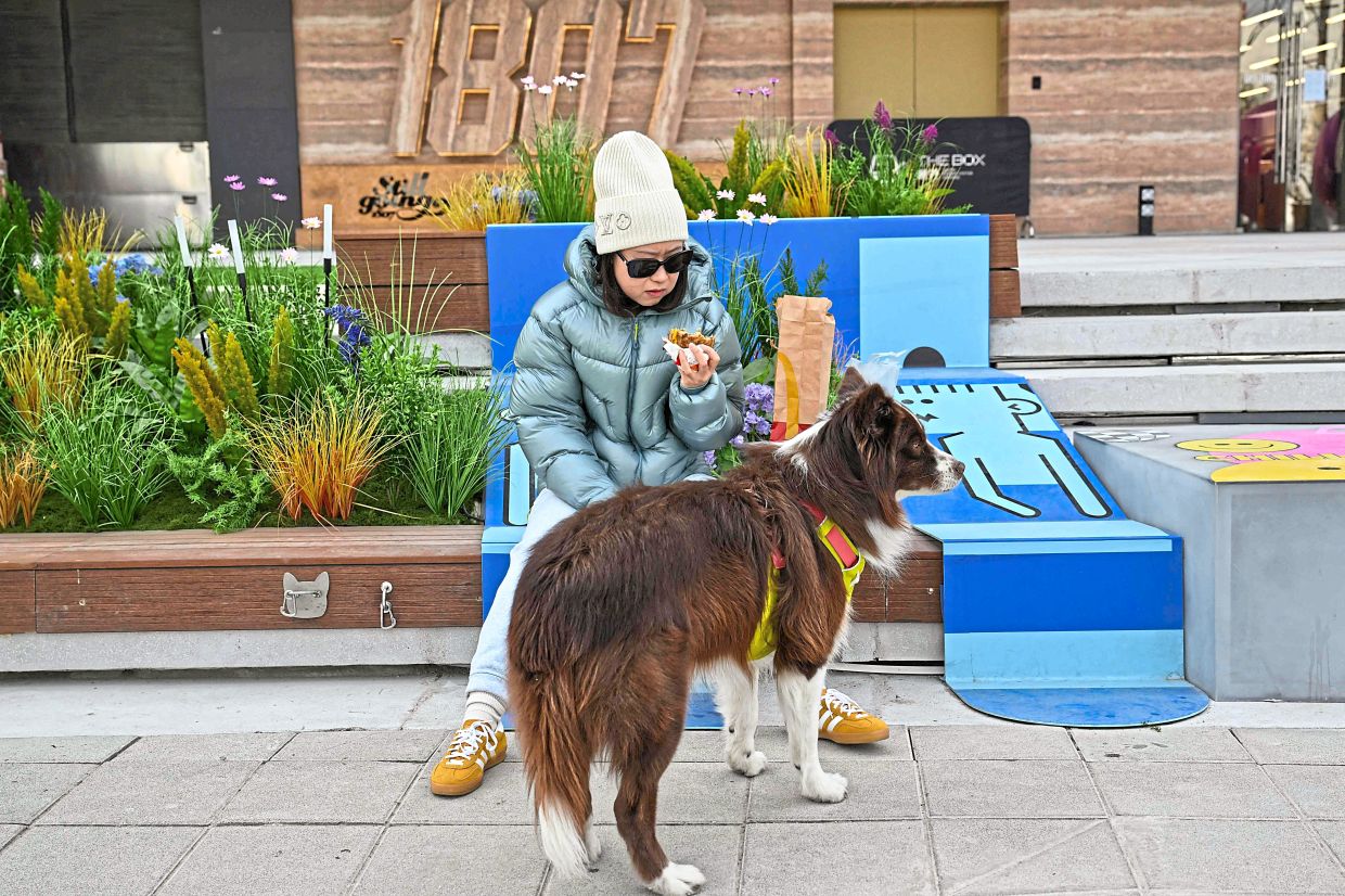 Paws and pause: A woman sitting with her dog outside a shopping mall in Beijing. For many young adults, it is difficult to even find the time to think about starting a family — AFP