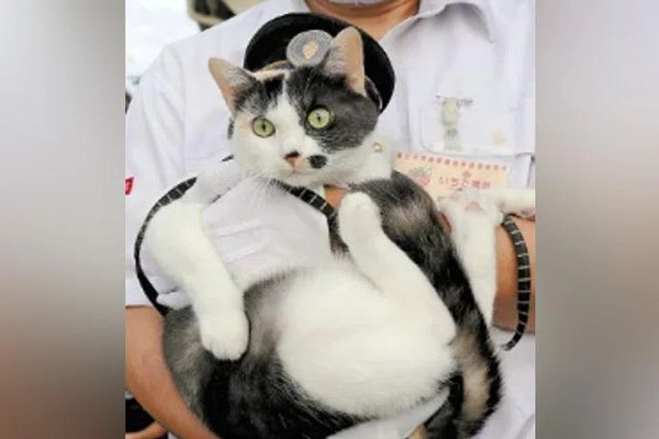 Japan Railway names third cat stationmaster during special ceremony