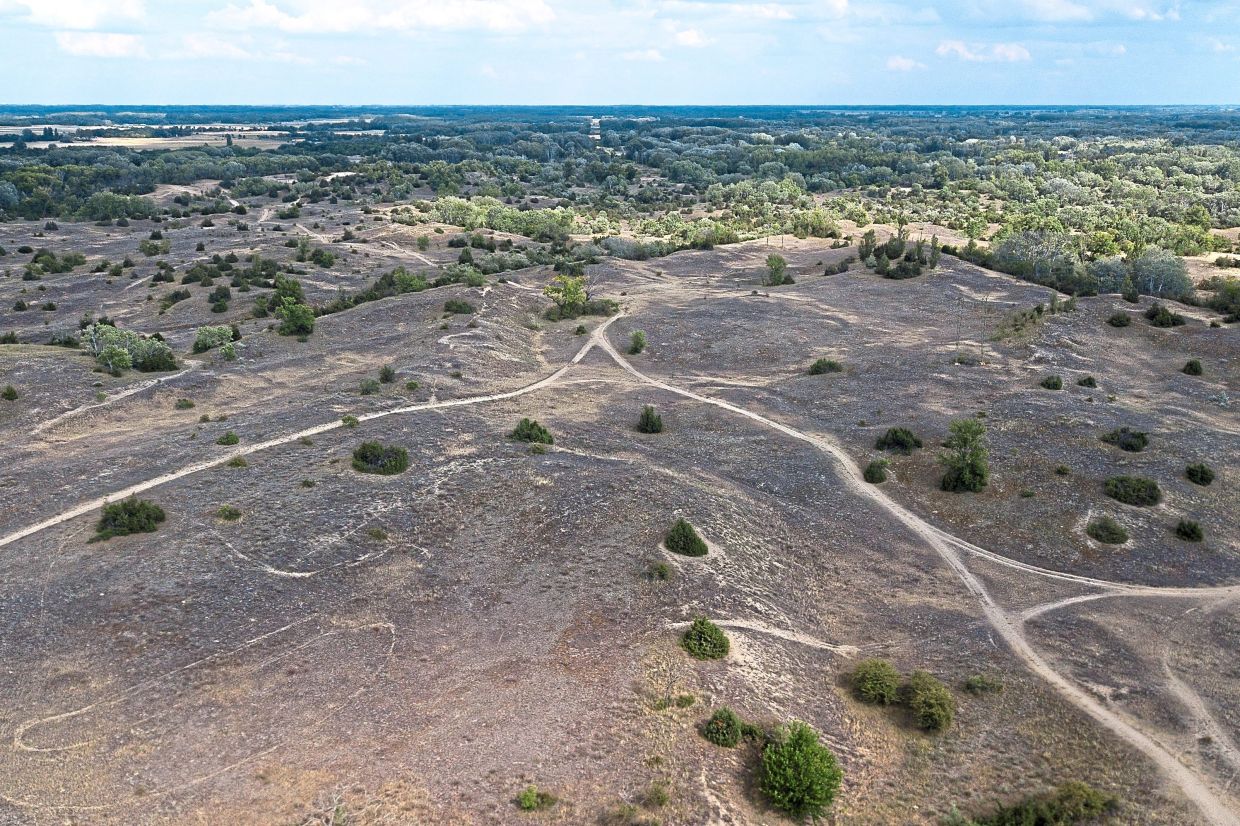 Hills of sandy terrain are visible in the Kiskunsag region of Hungary. 