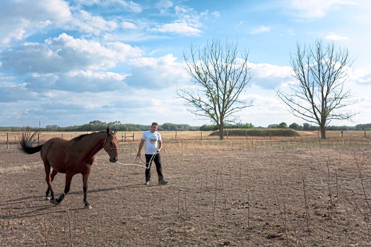 Volunteer Szilárd Zerinváry walking his horse in Kiskunmajsa, which looks more like a desert than a spot in Central Europe.