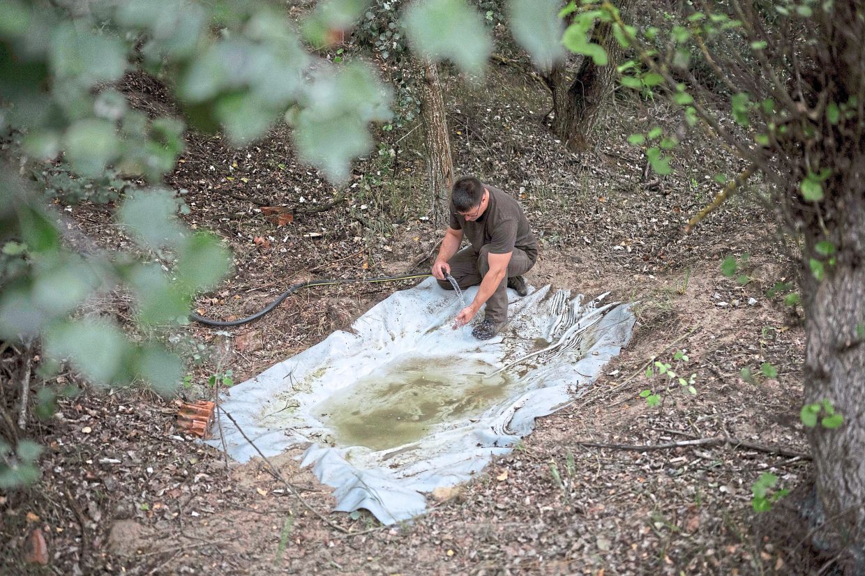 Nagyapáti filling up a wildlife water trough to mimic the natural cycle of flooding.