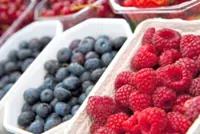 Berry good for you: Eat polyphenols, nutritionists say
