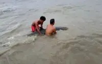 Stranded dolphin rescued by Filipino fishermen