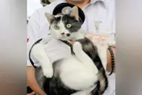 Japan Railway names third cat stationmaster during special ceremony