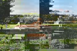 Understanding dogs' genetics: Is there a little wolf in your chihuahua?