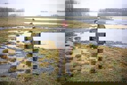 Hungary's 'water guardian' farmers fight back against desertification