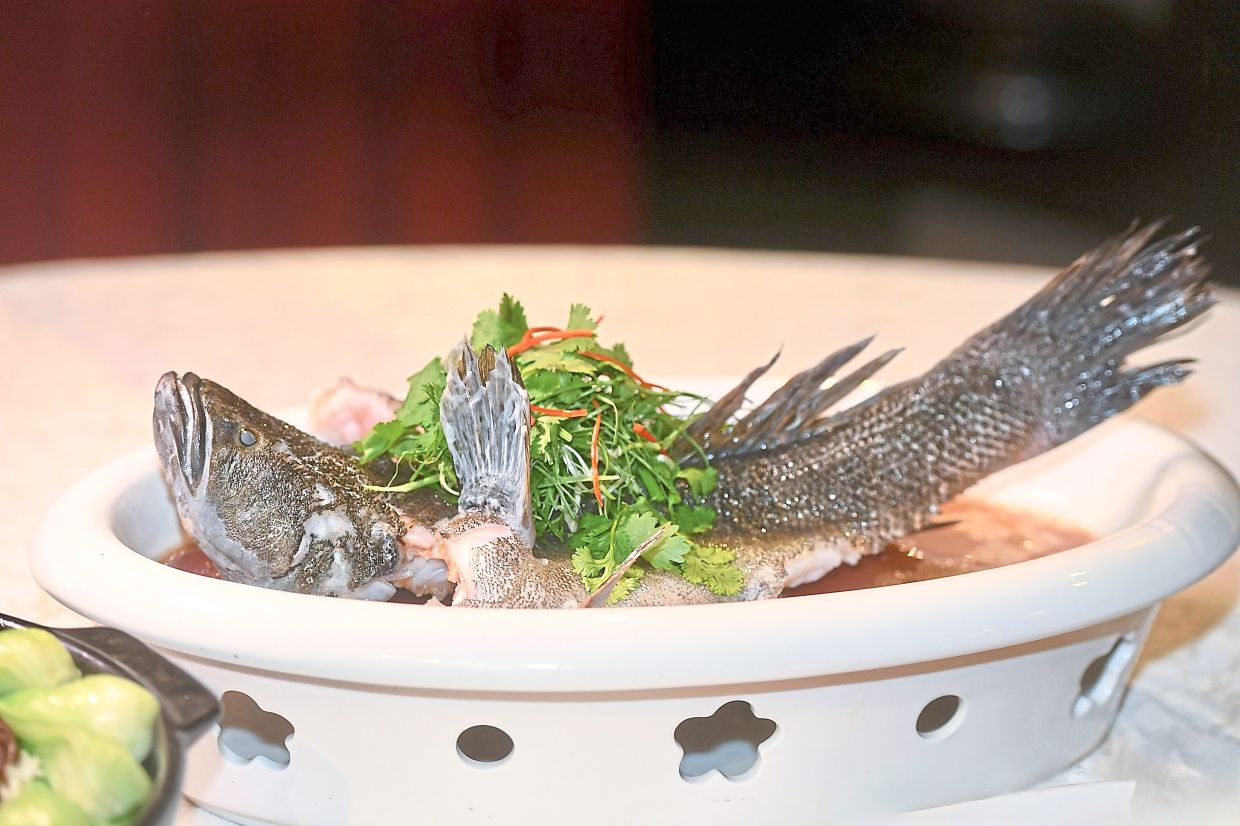 Steamed Soon Hock with light soy sauce.