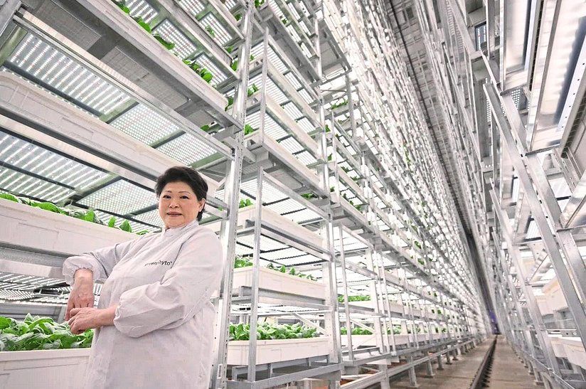 World&rsquo;s tallest indoor vertical farm launched