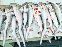 Call to strengthen protection of vulnerable species