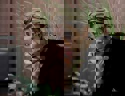 Singaporean singer WhyLucas says he has no regrets pausing his studies to focus on music