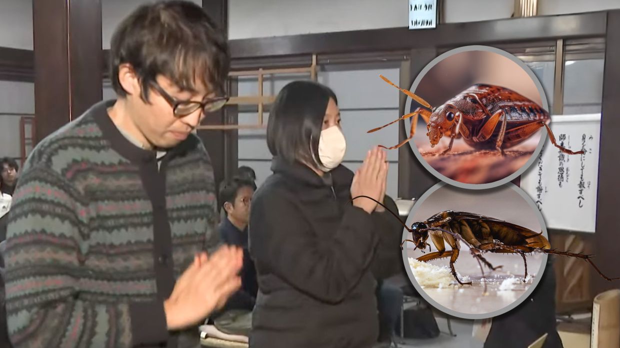 Japan insecticide firm holds memorial service to honour bugs killed during product testing