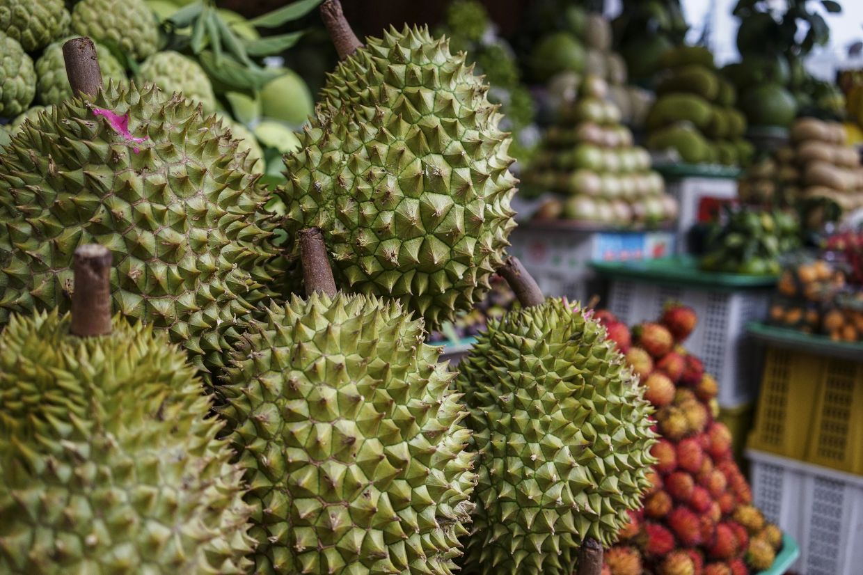 Durian growers scent opportunity as Chinese demand spikes