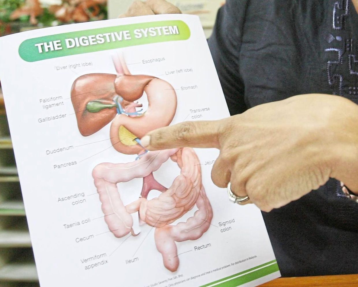 The pancreas (as pointed to here) has to work harder when the body develops resistance to insulin, which can result in fatty liver. — Filepic