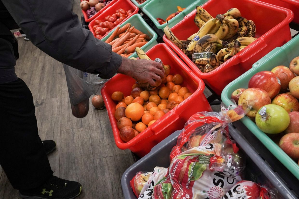 World food prices extend fall in December, UN's FAO says