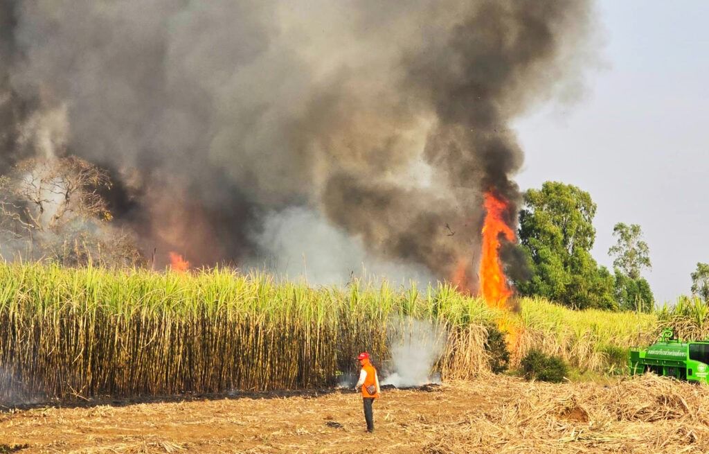 Thailand tightens controls on agricultural burning to curb PM2.5 pollution