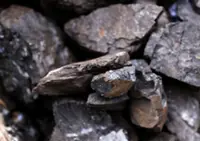 Malaysia steps up gas-fired power use in December