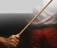 Cane scammers, govt urged