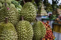 Durian growers scent opportunity as Chinese demand spikes