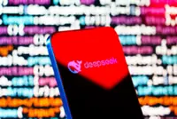 DeepSeek to customise namesake chatbot for Italian users following probe