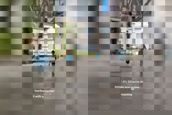 Fowl play detected: Chicken becomes Singapore’s latest football sensation