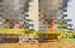 Thailand tightens controls on agricultural burning to  curb PM2.5 pollution