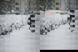 Soccer-Snow, freezing temperatures force cancellation of games in Germany, England