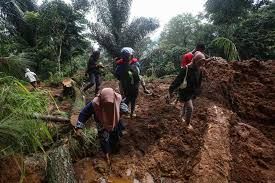 Brunei records 30 fallen tree, landslide incidents
