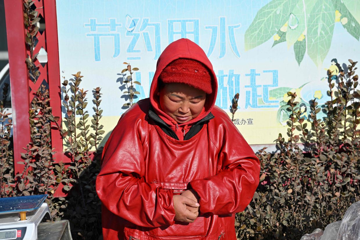 Chinese villagers struggle for heat as gas subsidies fade