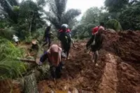 Brunei records 30 fallen tree, landslide incidents
