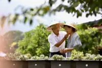 Taiwan becomes 'super-aged society' in 2025, data shows