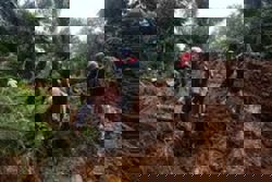 Brunei records 30 fallen tree, landslide incidents