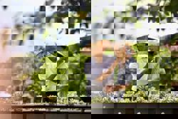 Taiwan becomes 'super-aged society' in 2025, data shows