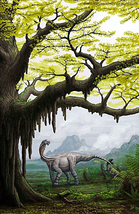 Across China: New fossil analysis sheds light on evolutionary history of Jurassic Ginkgoalean plants