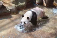 Zoo visitors thrilled by surprise