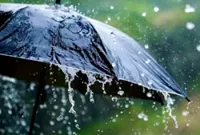 QuickCheck: Are rain sounds in movies actual recordings of rain?