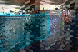 'Yob Kinding' the tiger captured in Chemor