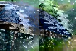 QuickCheck: Are rain sounds in movies actual recordings of rain?