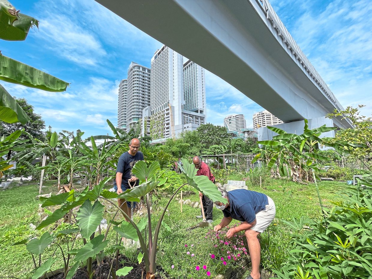 Selangor scales up urban farming to bolster food resilience