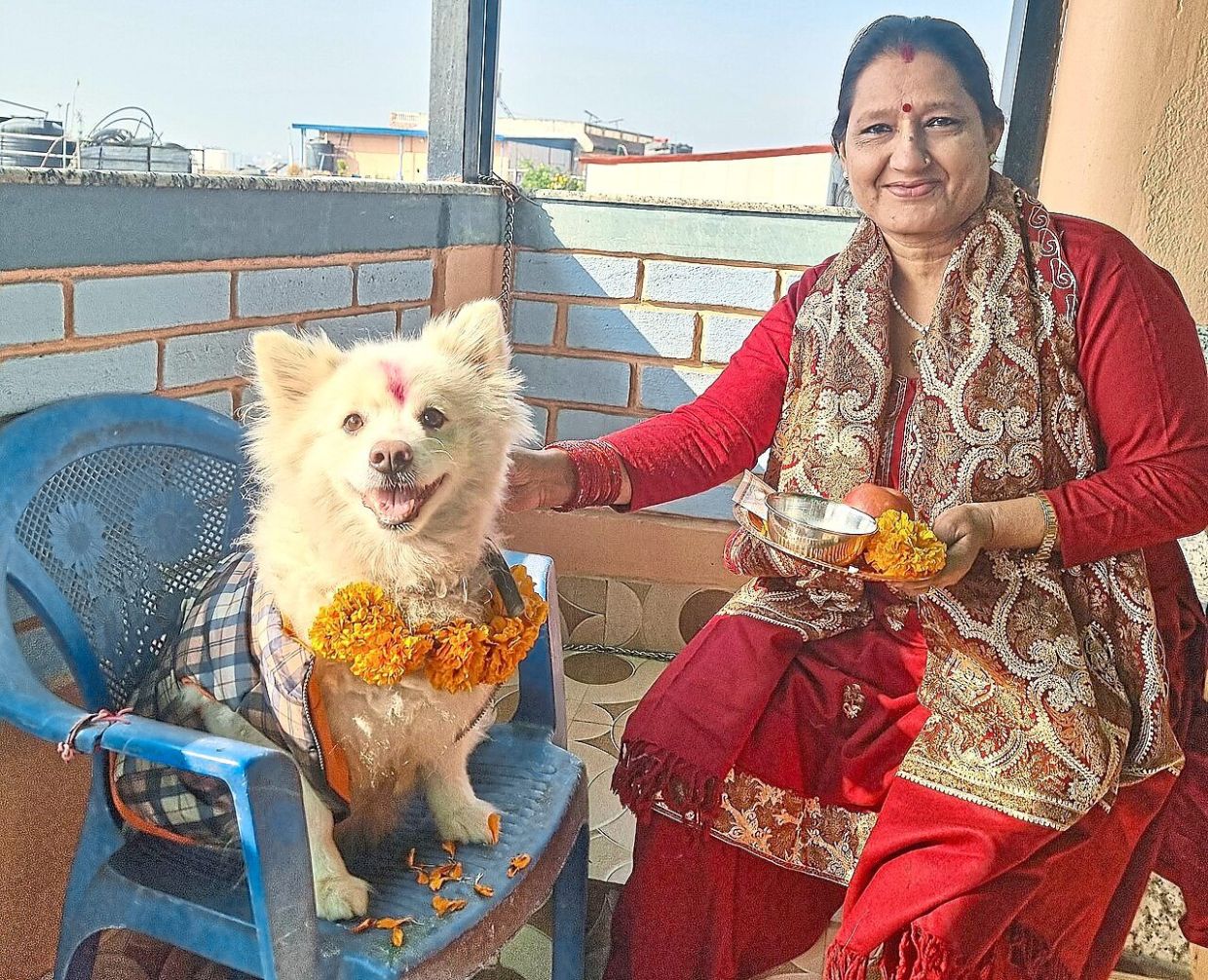 In Nepal, dogs are often associated with protection and blessings. — ALISH BHANDARII/Wikimedia Commons